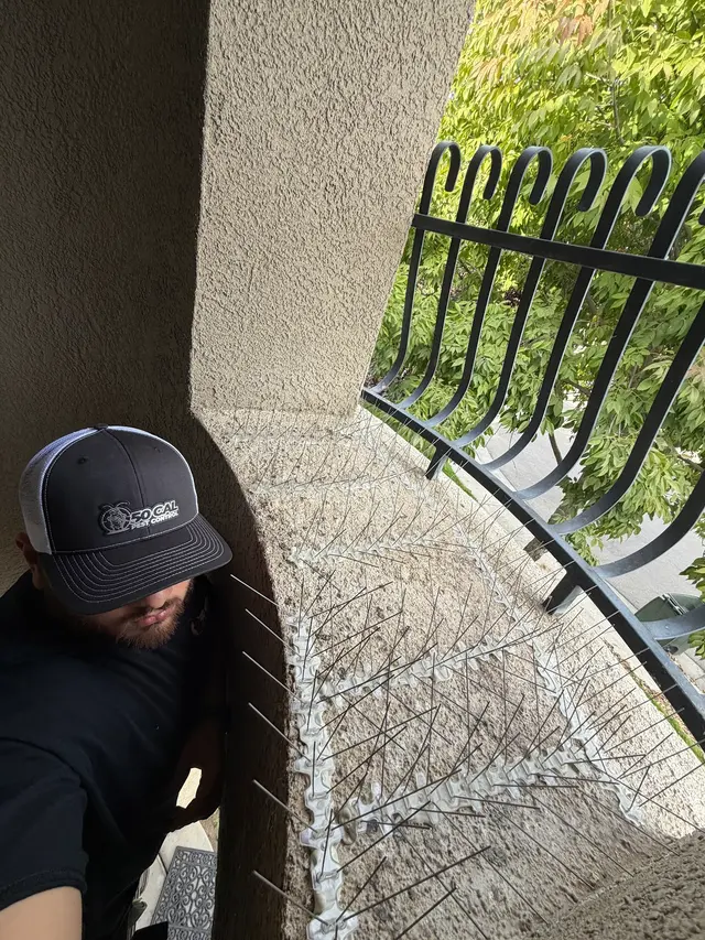 50 Cal Pest Control — photo from the business 4