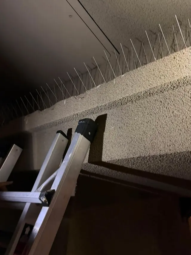 50 Cal Pest Control — photo from the business 7