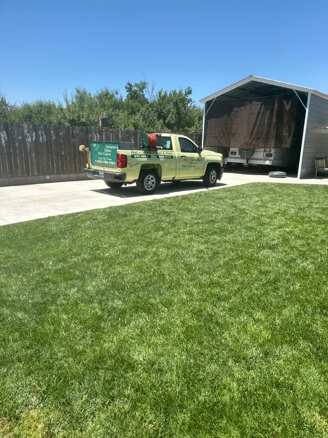 BJ's Consumer's Choice Pest Control — customer photo 2