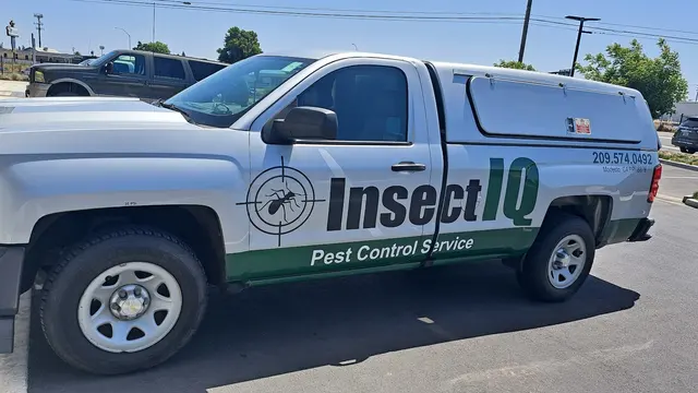 Insect IQ — photo from the business 2
