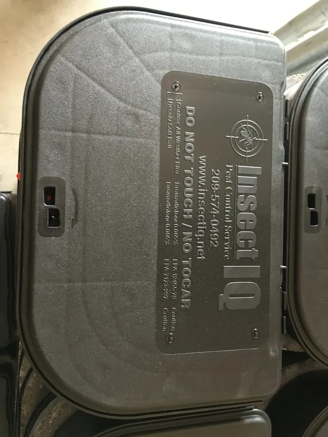 Insect IQ — photo from the business 11