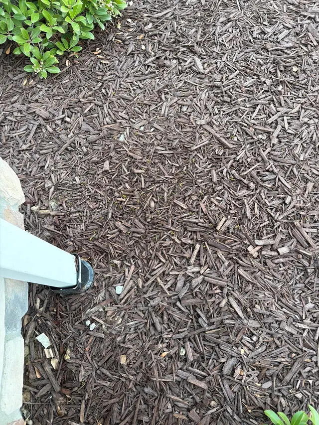 Insect IQ — customer photo 9