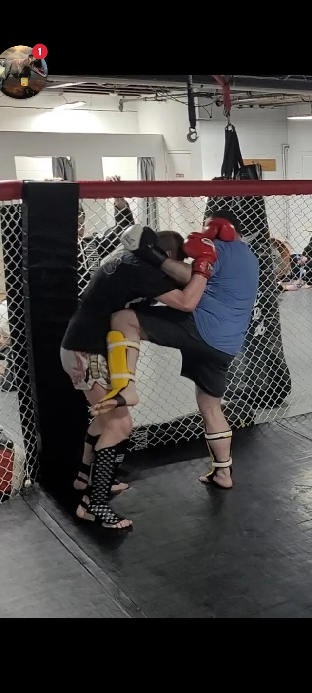 Customer photo of work by Hellfish Mixed Martial Arts, from Christopher Neenhold's review