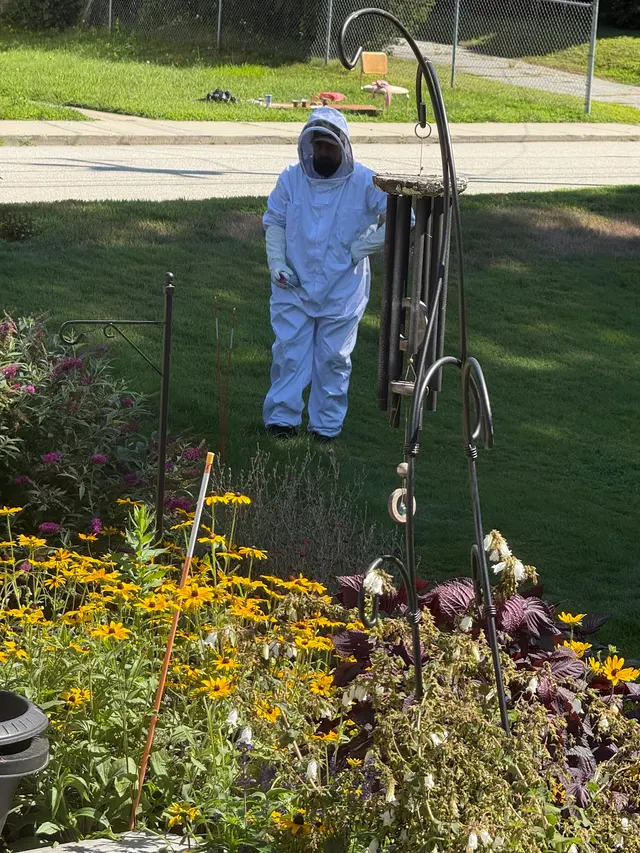 Debug Pest Control — customer photo 4