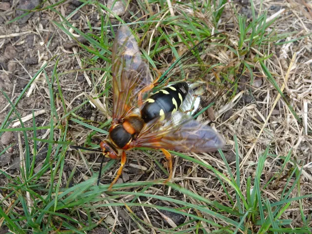 Integrity Pest Control — photo from the business 1