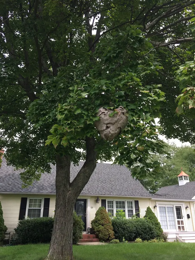 Integrity Pest Control — photo from the business 8