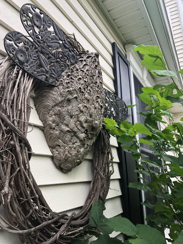 Integrity Pest Control — photo from the business 4