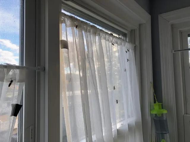 Integrity Pest Control — photo from the business 3