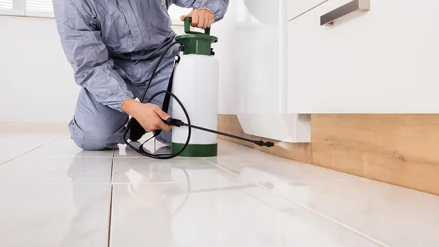 Willington Termite & Pest Control — photo from the business 1