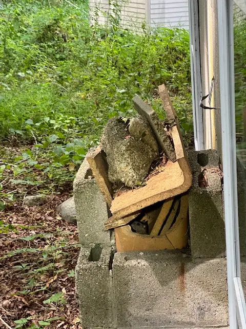 Mosquito and Pest Nation of Eastern CT — photo from the business 5