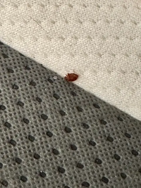 Mosquito and Pest Nation of Eastern CT — photo from the business 2
