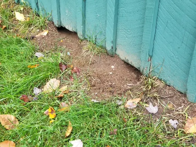 Mosquito and Pest Nation of Eastern CT — photo from the business 10