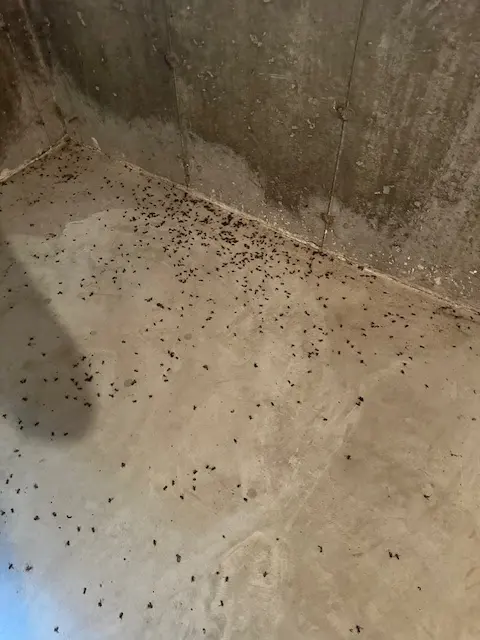 Mosquito and Pest Nation of Eastern CT — photo from the business 4