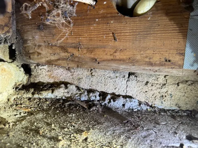 Mosquito and Pest Nation of Eastern CT — photo from the business 3