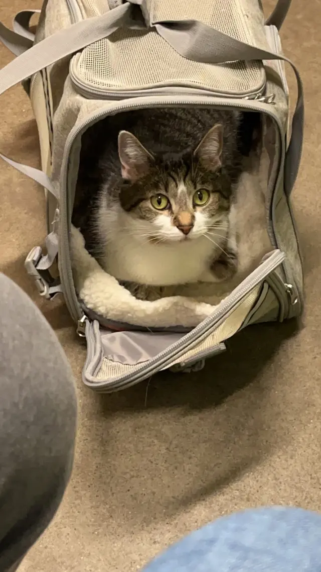 Valley West Veterinary Hospital — customer photo 1