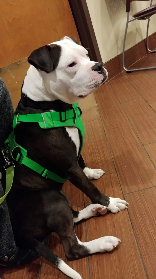 Valley West Veterinary Hospital — customer photo 5