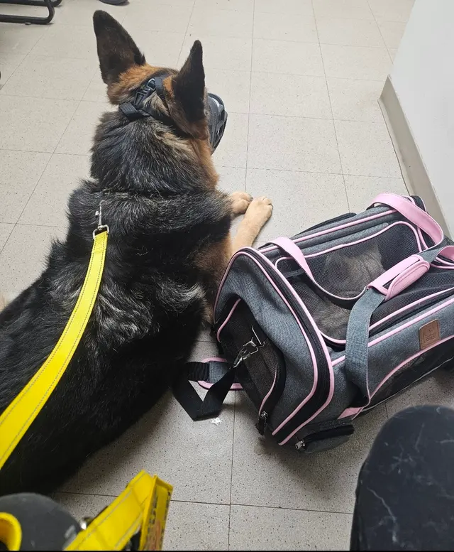 Kanawha Boulevard Animal Hospital — customer photo 11
