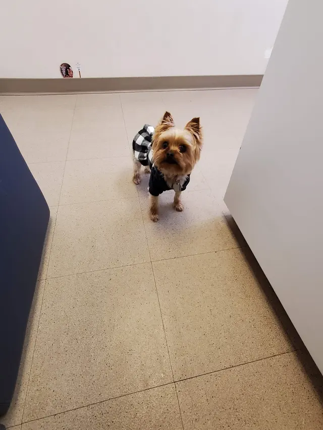 Kanawha Boulevard Animal Hospital — customer photo 12