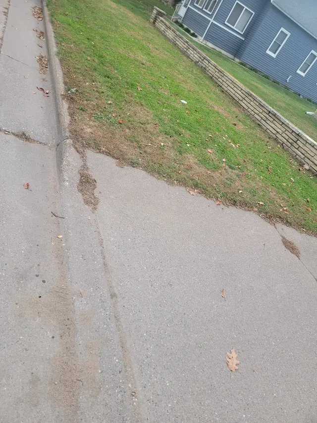 Reisner's Lawn Care LLC — photo from the business 11