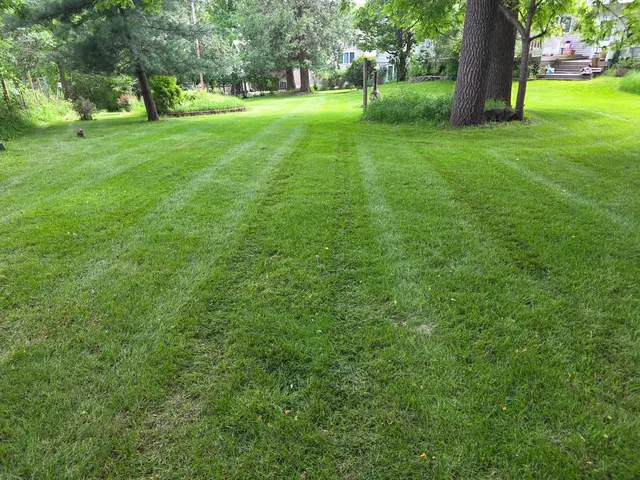 Reisner's Lawn Care LLC — photo from the business 2