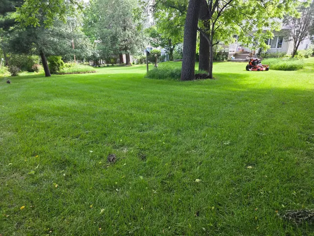 Reisner's Lawn Care LLC — photo from the business 10