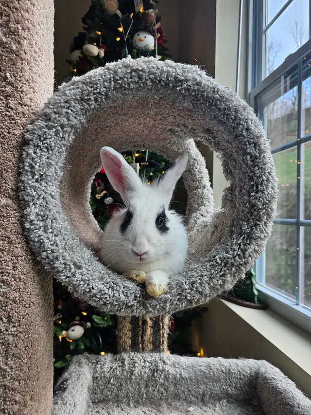 Animal Care Associates, Inc. — customer photo 7