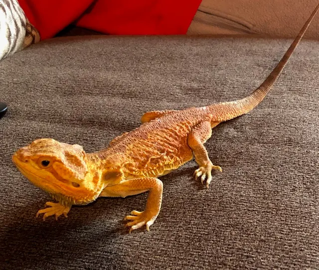 Animal Care Associates, Inc. — customer photo 10