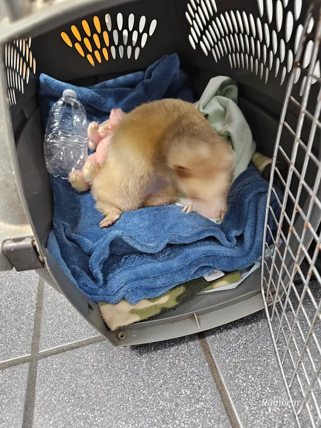 Animal Care Associates, Inc. — customer photo 6