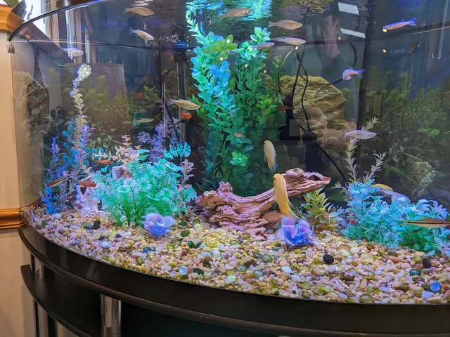 Animal Care Associates, Inc. — customer photo 1