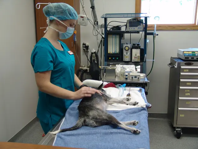 Animal Care Associates, Inc. — photo from the business 5
