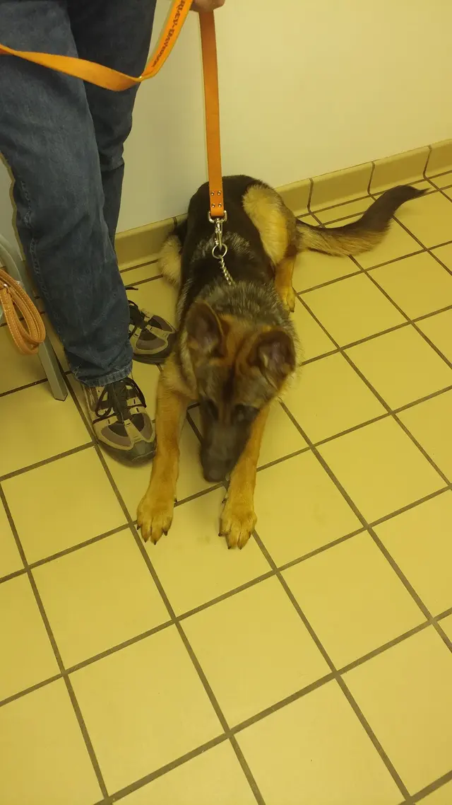 Elk Valley Veterinary Hospital — customer photo 6