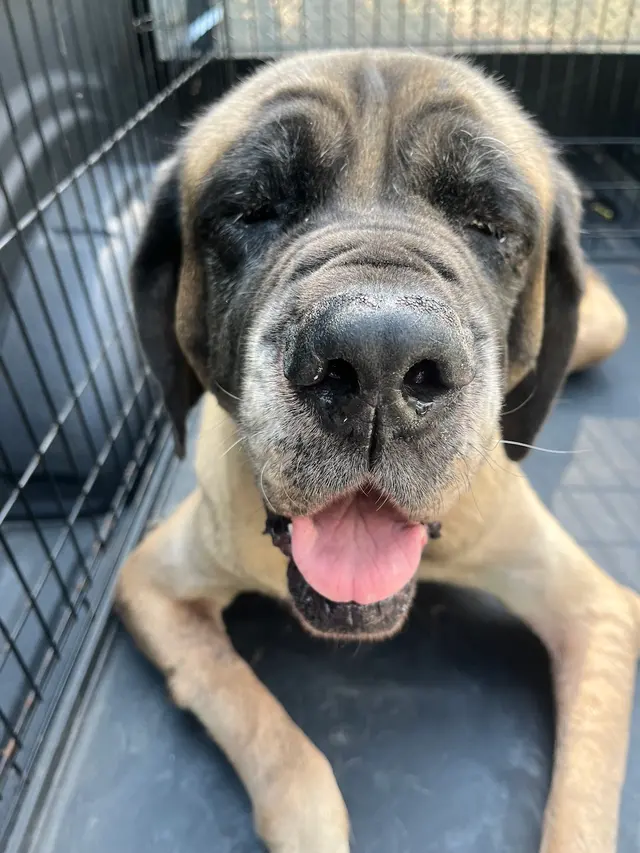 Elk Valley Veterinary Hospital — customer photo 9