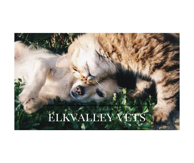 Elk Valley Veterinary Hospital — photo from the business 1