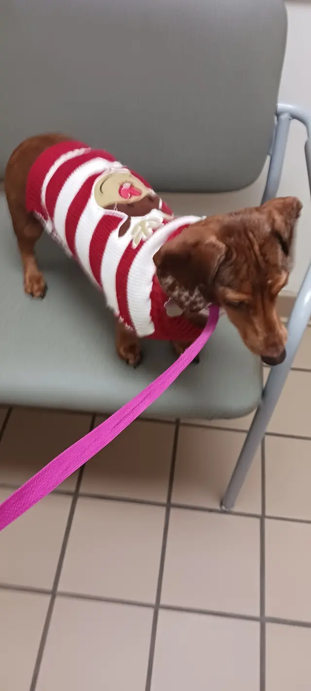 Elk Valley Veterinary Hospital — customer photo 11