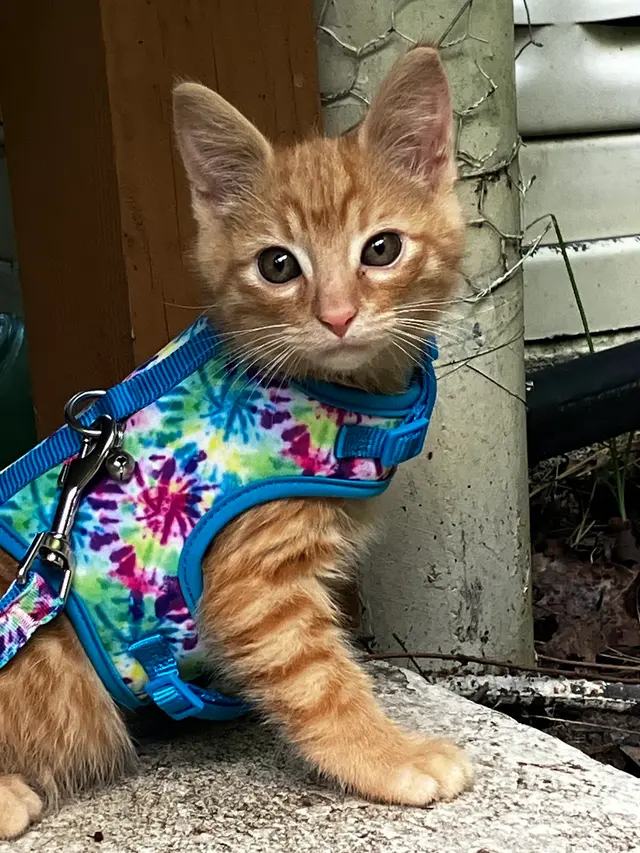 Elk Valley Veterinary Hospital — customer photo 3
