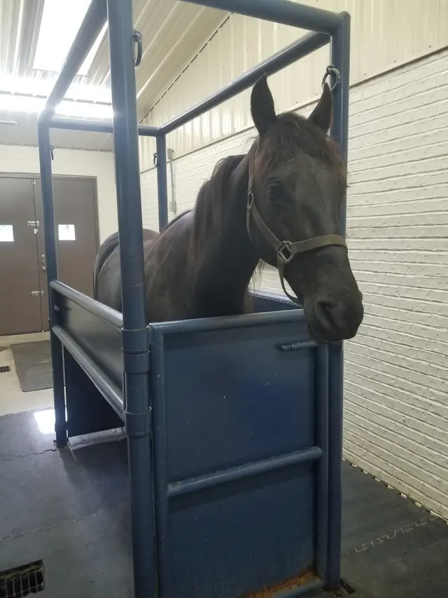 Elk Valley Veterinary Hospital — customer photo 10