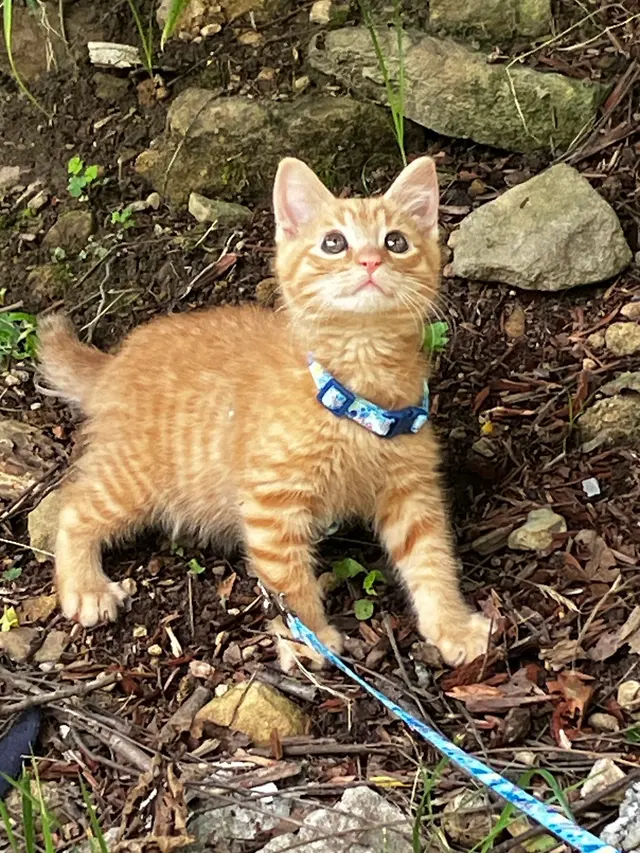 Elk Valley Veterinary Hospital — customer photo 4