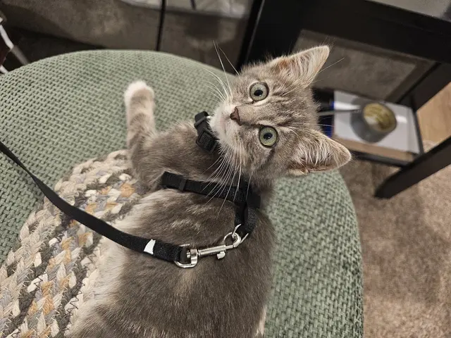 Oak Hill Animal Hospital — customer photo 5