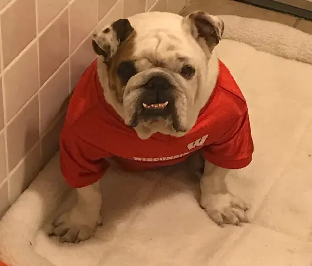 Oak Hill Animal Hospital — customer photo 11