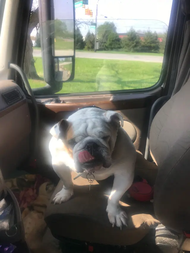 Oak Hill Animal Hospital — customer photo 12
