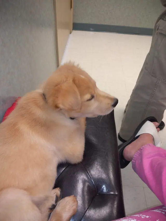 Oak Hill Animal Hospital — customer photo 6
