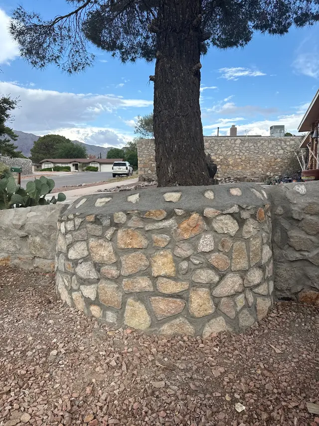 Tony Avila Rockwall, Inc. — customer photo 4