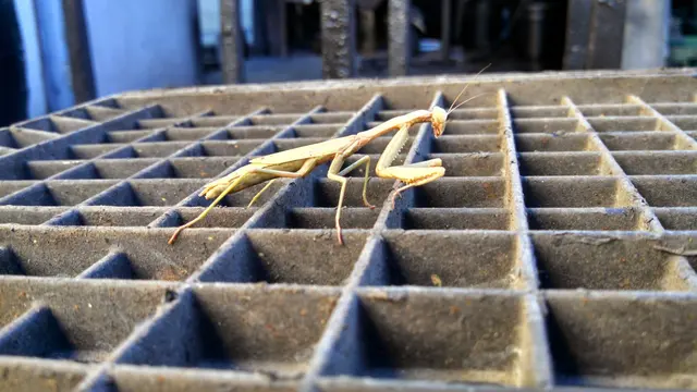 1-800 Radiator & A/C - Tucson — customer photo 5