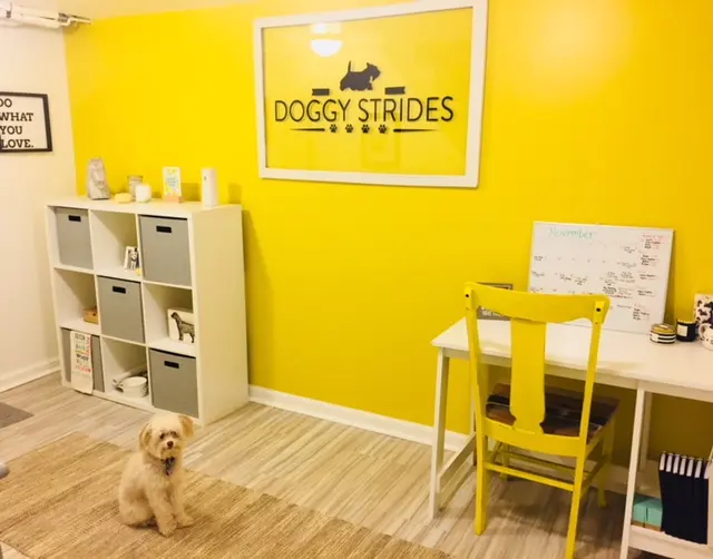 Doggy Strides — photo from the business 1