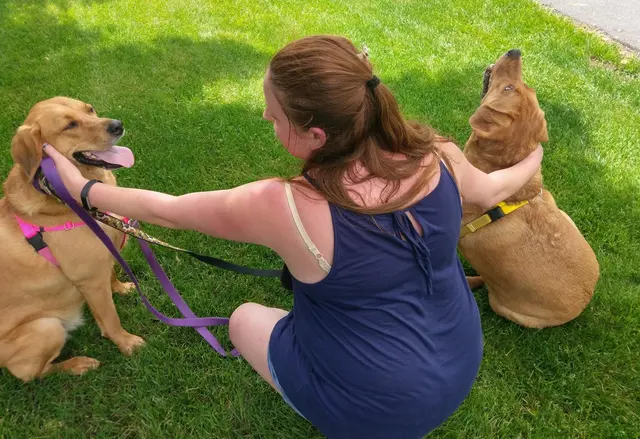 Dorney Dog Walk — photo from the business 1