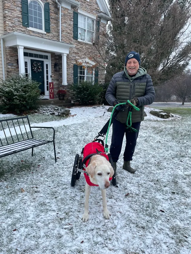 Customer photo of work by Dorney Dog Walk, from Joni Novotnak's review
