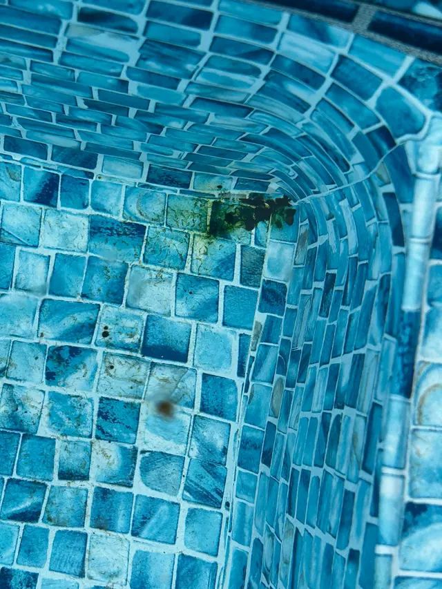 Prestige Pools Inc. — customer photo 8