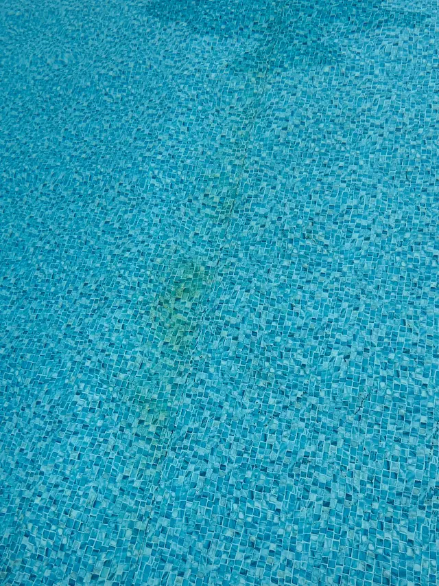 Prestige Pools Inc. — customer photo 10
