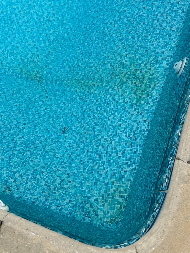 Prestige Pools Inc. — customer photo 7