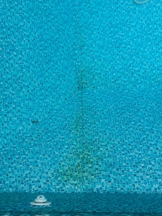 Customer photo of work by Prestige Pools Inc., from stacie clark's review
